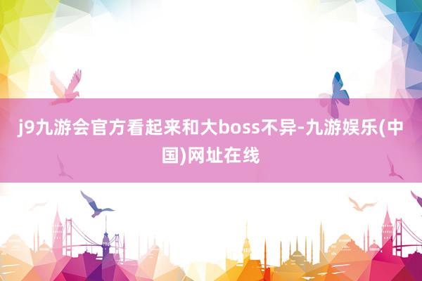 j9九游会官方看起来和大boss不异-九游娱乐(中国)网址在线