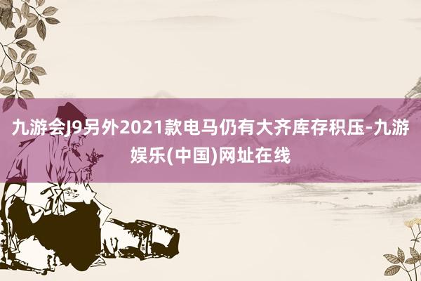 九游会J9另外2021款电马仍有大齐库存积压-九游娱乐(中国)网址在线