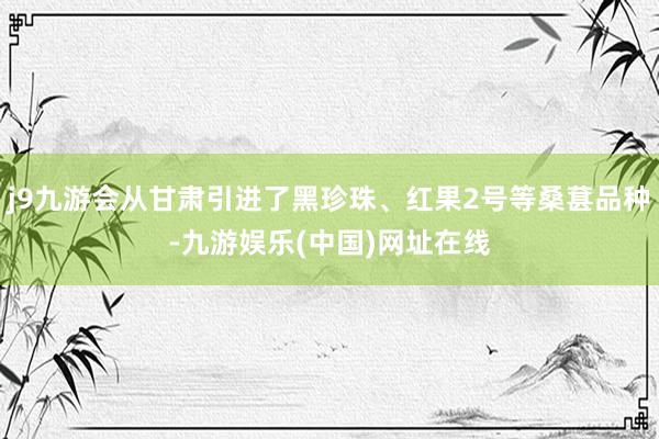 j9九游会从甘肃引进了黑珍珠、红果2号等桑葚品种-九游娱乐(中国)网址在线