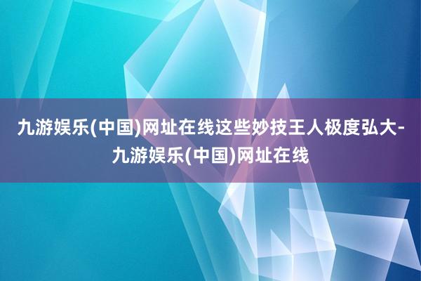 九游娱乐(中国)网址在线这些妙技王人极度弘大-九游娱乐(中国)网址在线