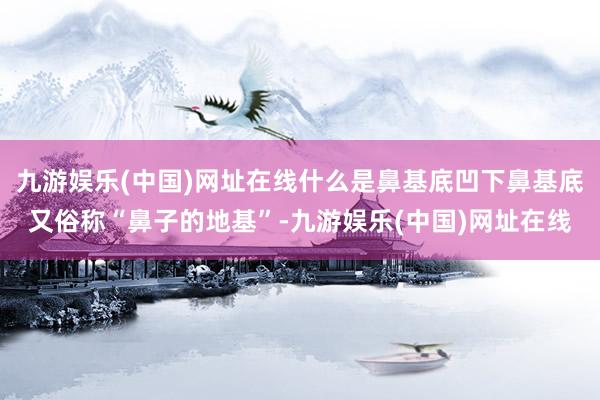 九游娱乐(中国)网址在线什么是鼻基底凹下鼻基底又俗称“鼻子的地基”-九游娱乐(中国)网址在线