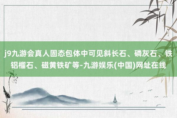 j9九游会真人固态包体中可见斜长石、磷灰石、铁铝榴石、磁黄铁矿等-九游娱乐(中国)网址在线