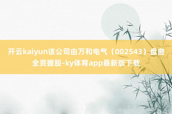 开云kaiyun该公司由万和电气（002543）盘曲全资握股-ky体育app最新版下载