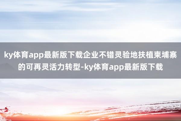 ky体育app最新版下载企业不错灵验地扶植柬埔寨的可再灵活力转型-ky体育app最新版下载