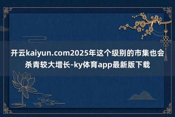 开云kaiyun.com2025年这个级别的市集也会杀青较大增长-ky体育app最新版下载