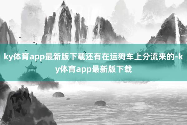 ky体育app最新版下载还有在运狗车上分流来的-ky体育app最新版下载