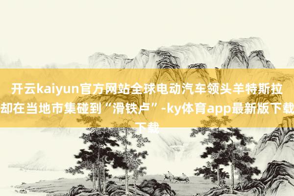 开云kaiyun官方网站全球电动汽车领头羊特斯拉却在当地市集碰到“滑铁卢”-ky体育app最新版下载